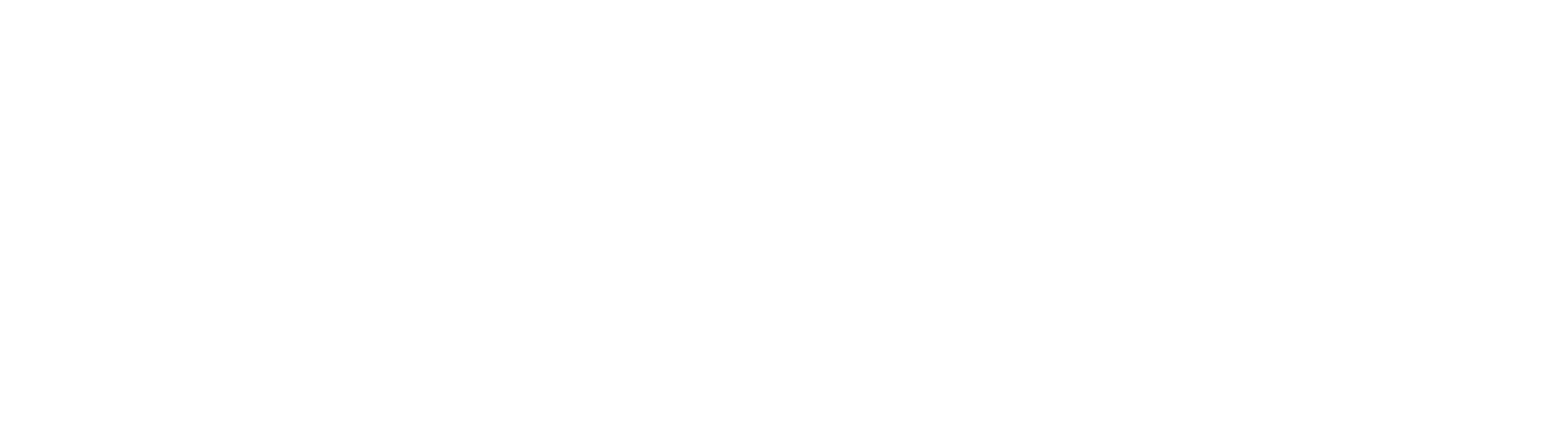 Curvs Logo